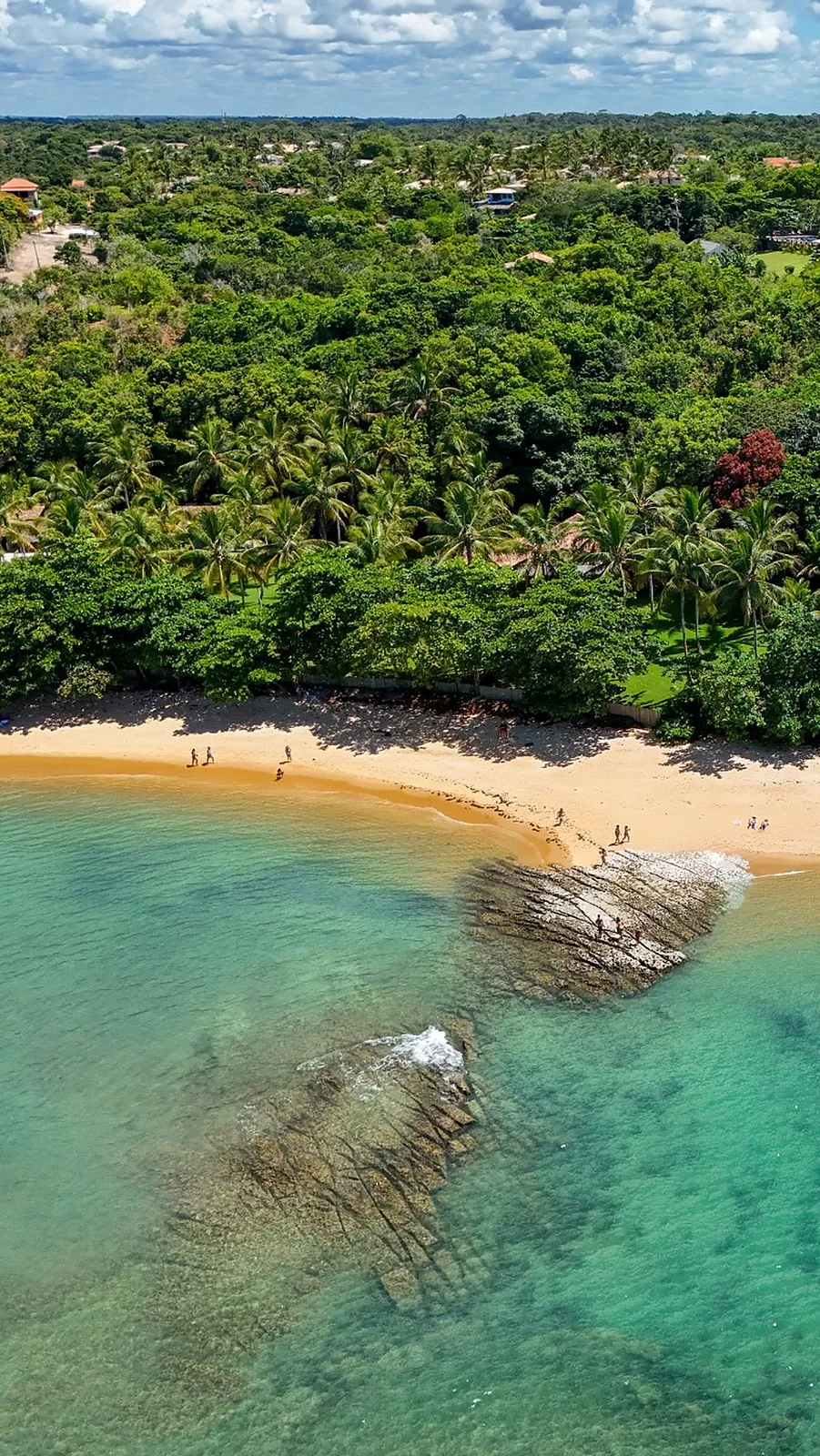 Praia e falésia do Outeiro das Brisas vistas do alto
